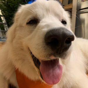 Meet your Posher, Katherine